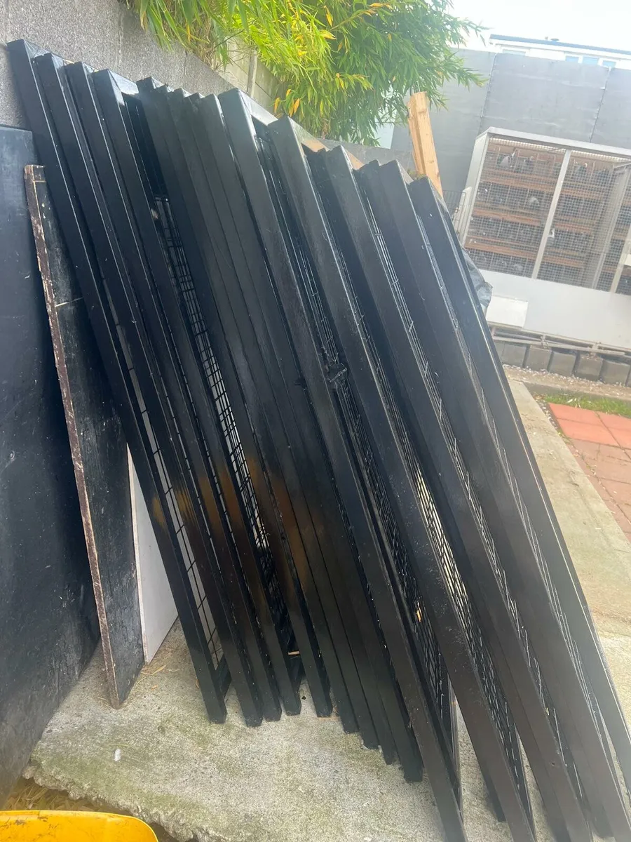 Dog pens - Image 1