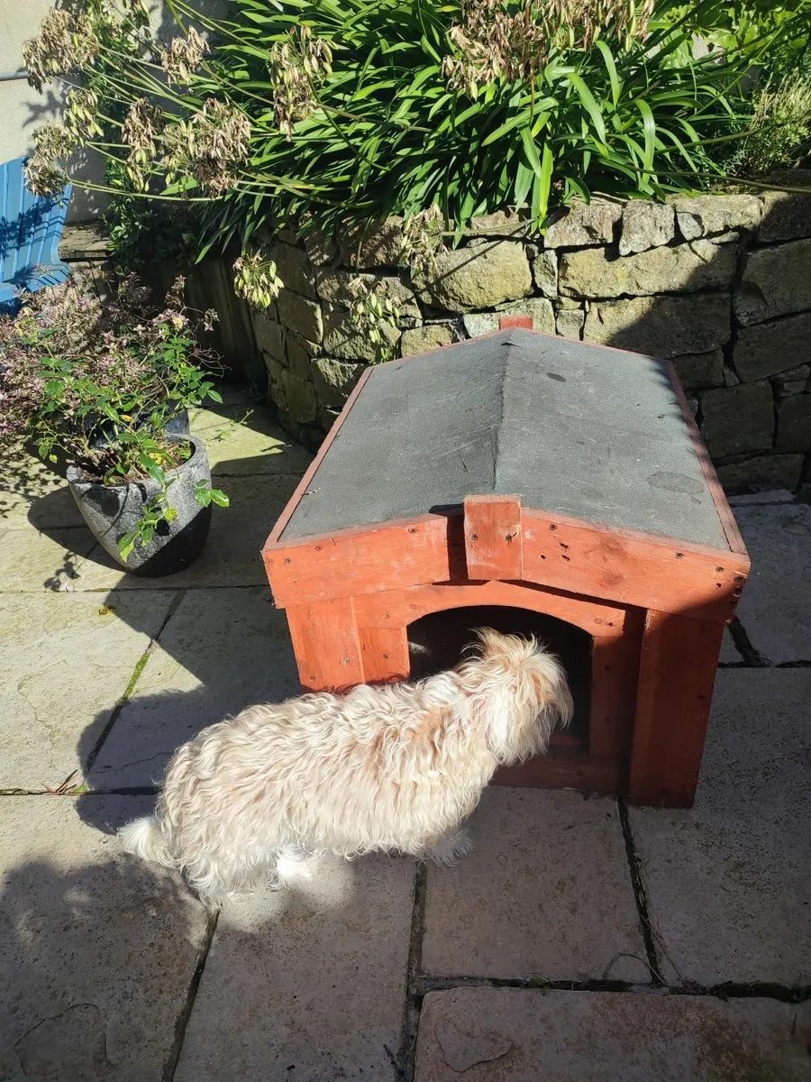 Dog Kennel - Image 1