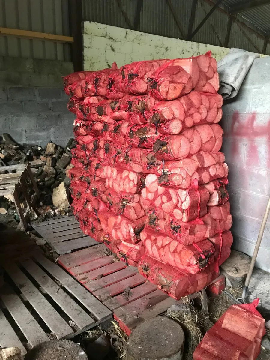 firewood - Image 1
