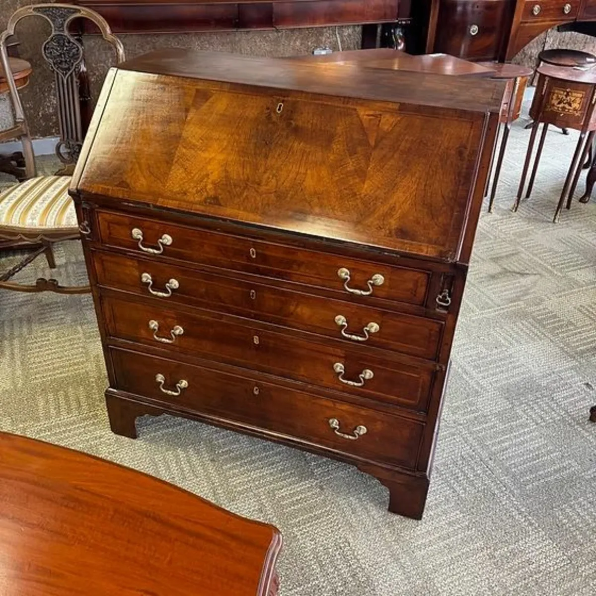 Beautiful antique walnut burr writing bureau - Image 1