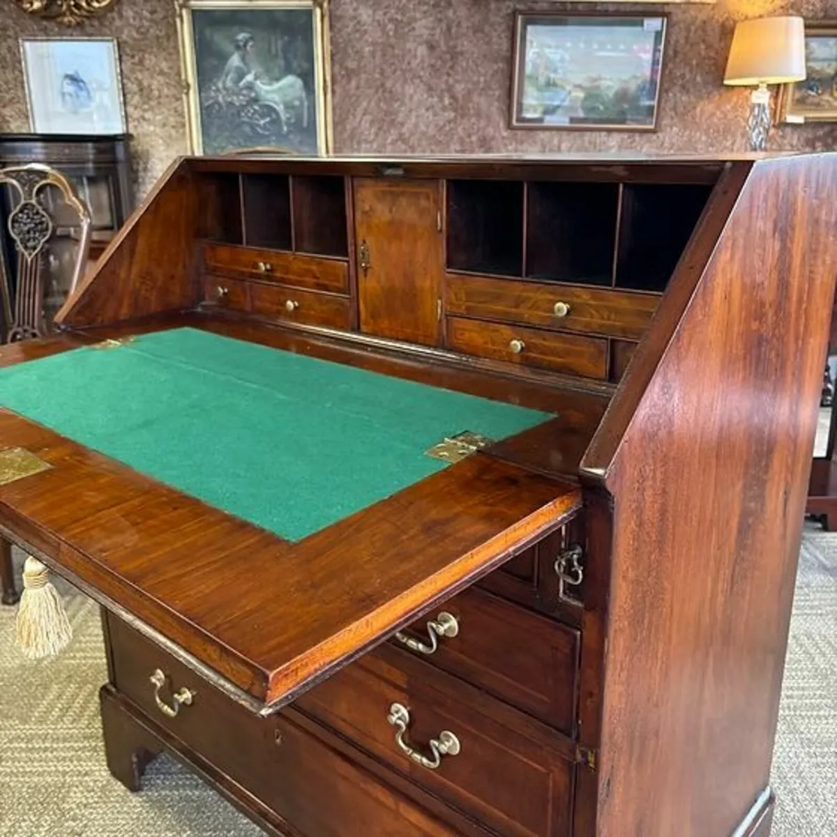 Beautiful antique walnut burr writing bureau - Image 2