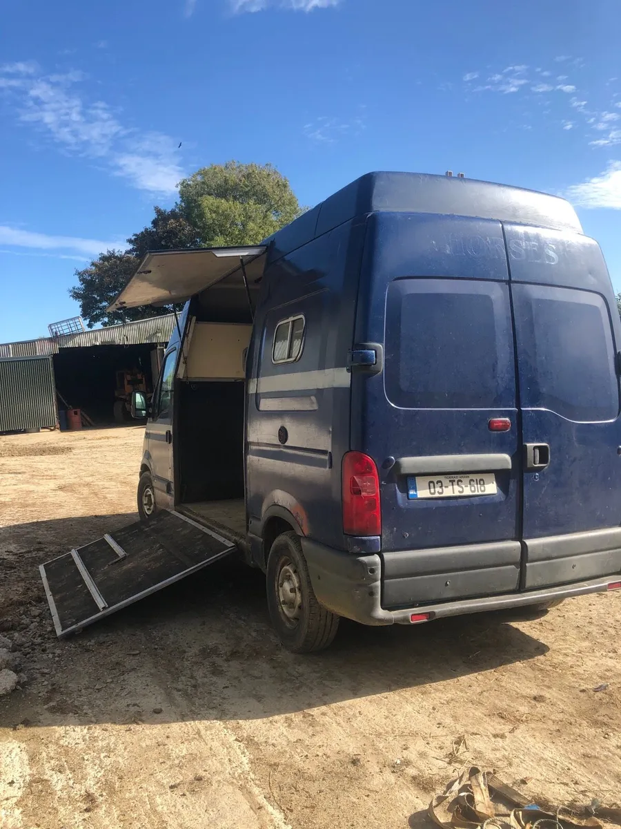 Renault master horse van - Image 1