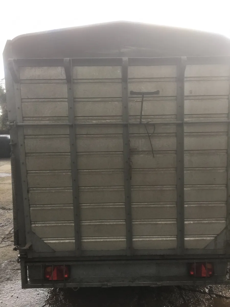 Hudson 12X6 “6 DM cattle trailer - Image 3