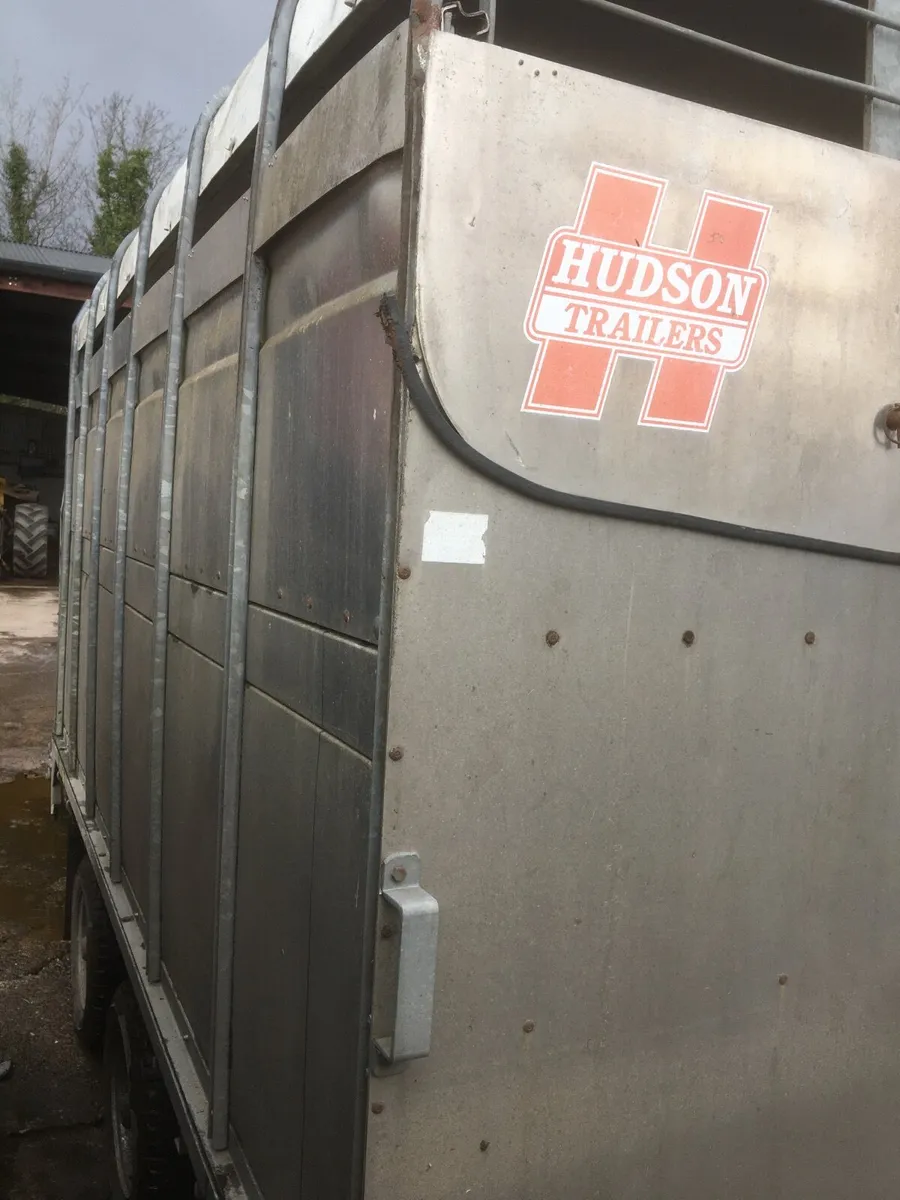Hudson 12X6 “6 DM cattle trailer - Image 4