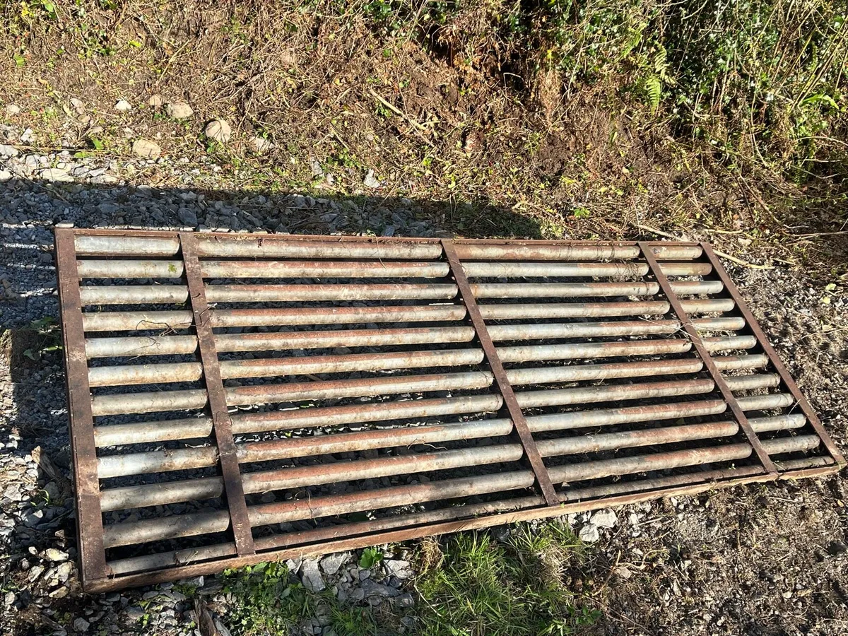 Cattle grid