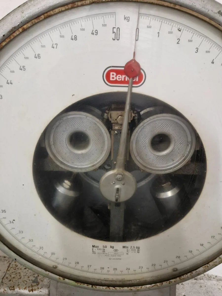 Vintage Berkel Industrial Floor Scale (50kg Cap) - Image 2