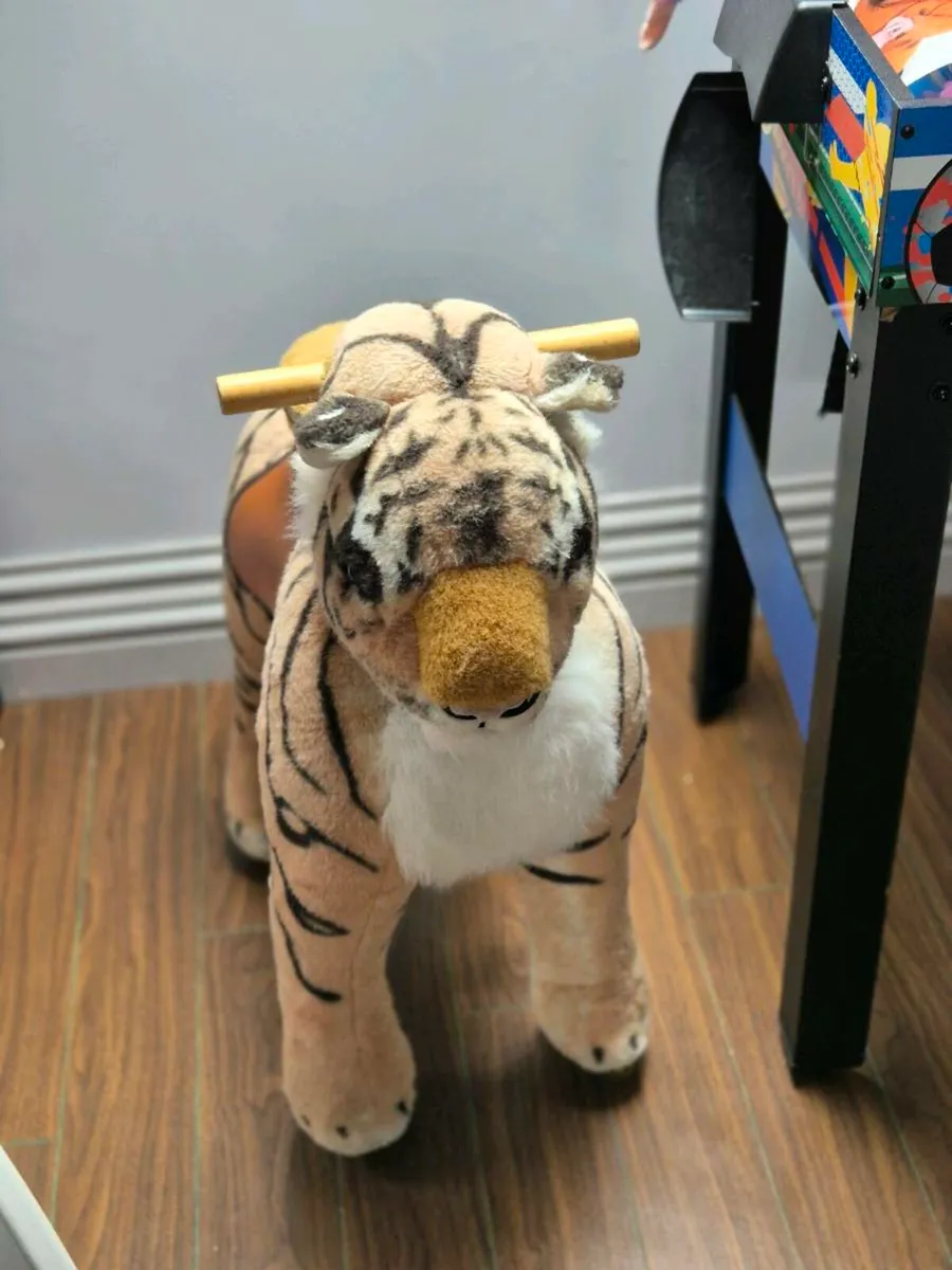 Wonder ride on Tiger - Image 3