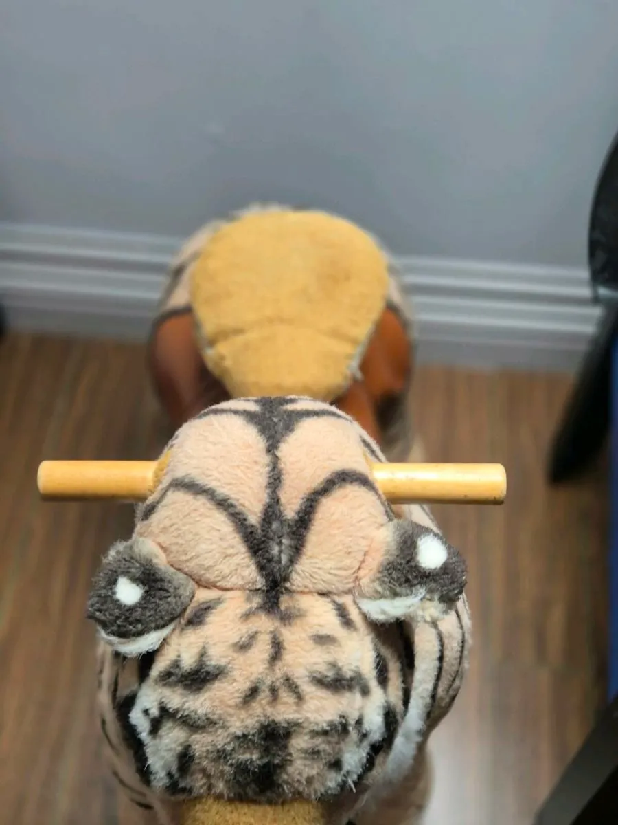 Wonder ride on Tiger - Image 4