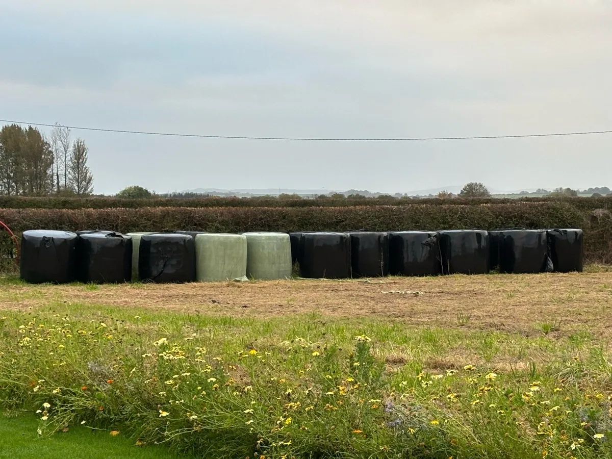 Wrapped Bales - Image 1