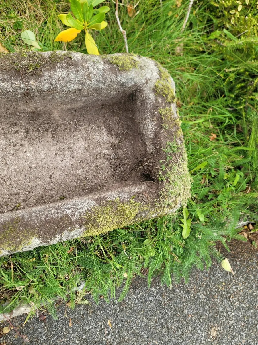 Though grantie - Image 3