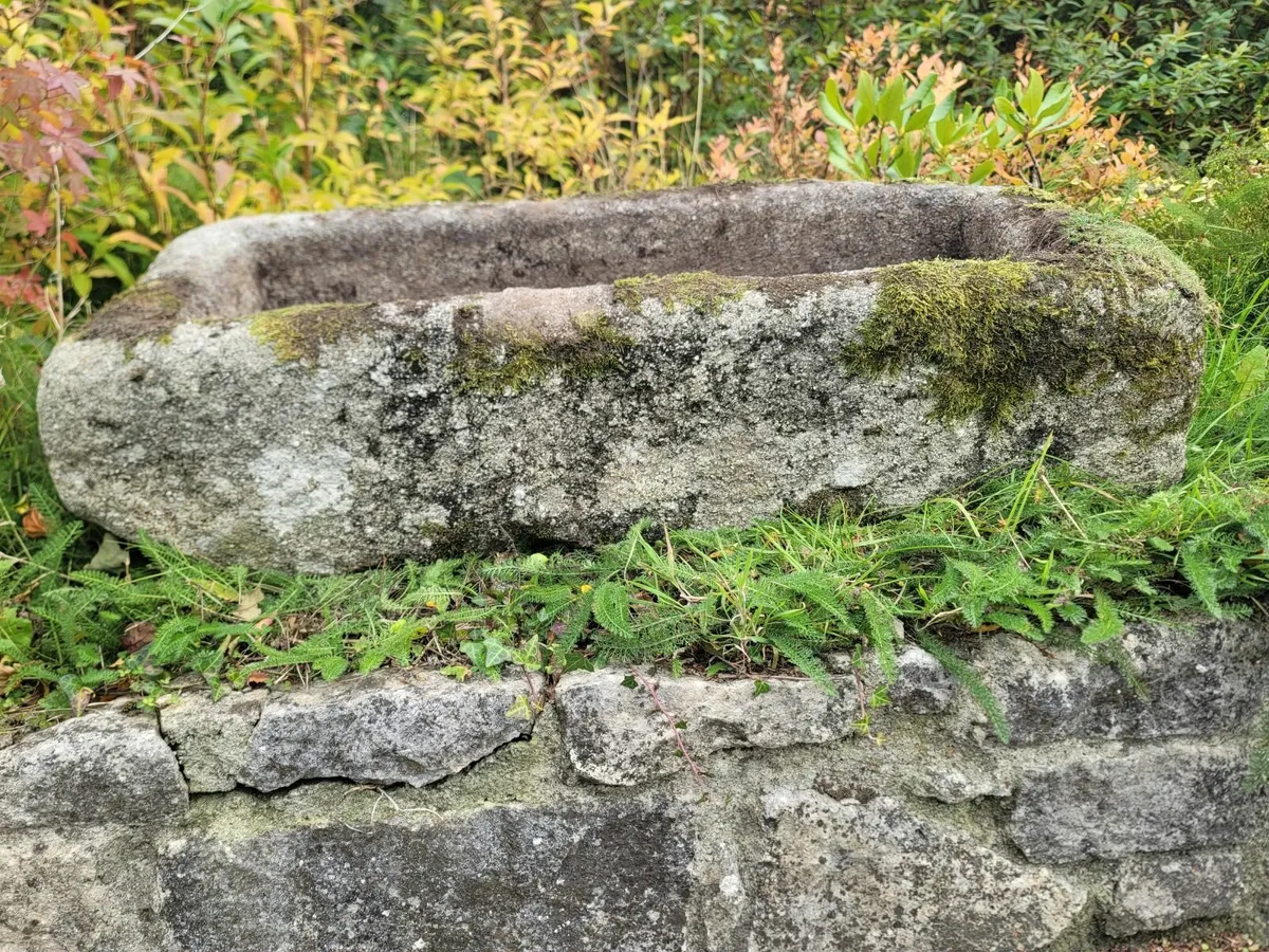 Though grantie - Image 4