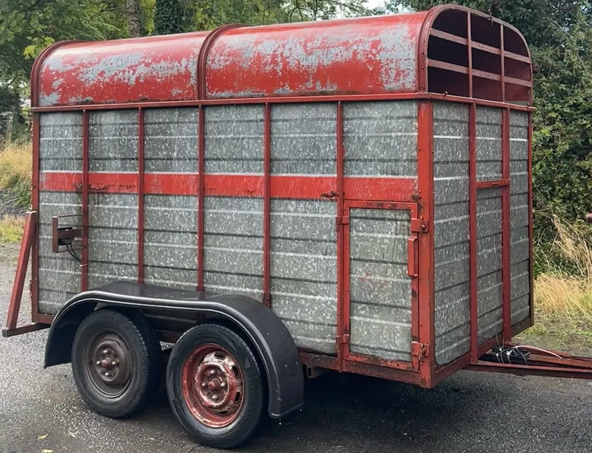 8 x 5 Dooley’s cattle box - Image 2