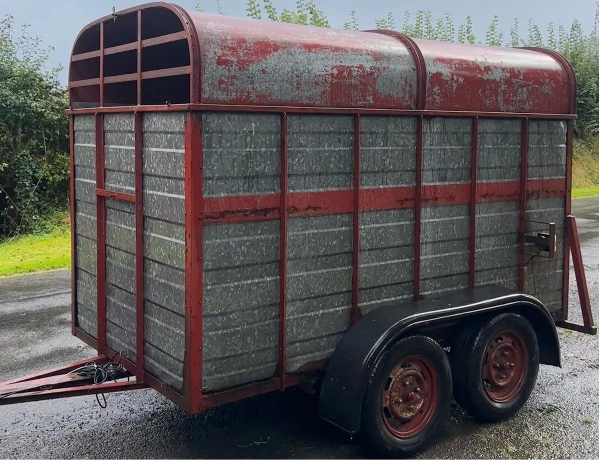 8 x 5 Dooley’s cattle box - Image 1