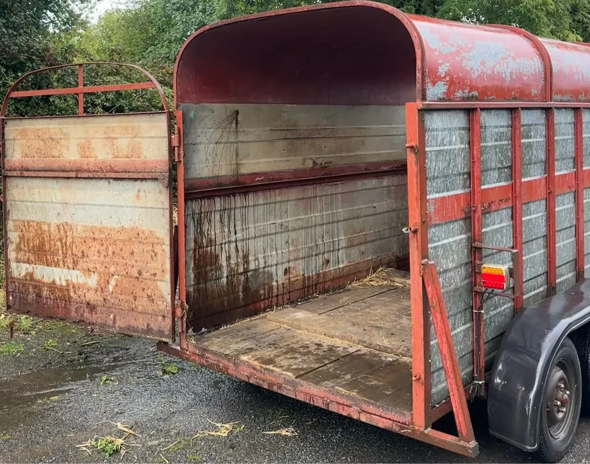 8 x 5 Dooley’s cattle box - Image 3