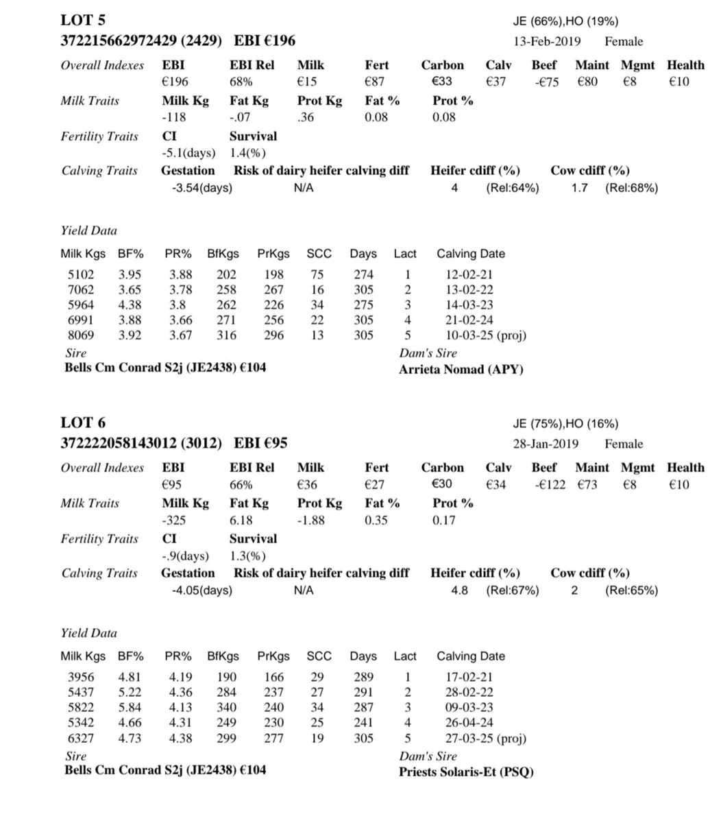 Dairy Cows Cootehill Mart this Fri 10th Oct - Image 3