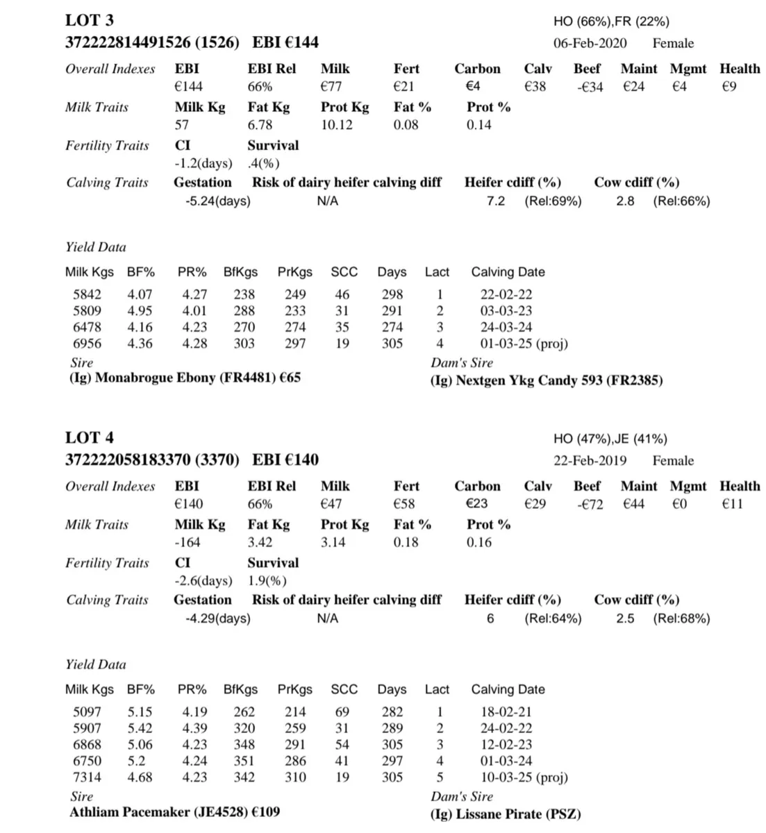 Dairy Cows Cootehill Mart this Fri 10th Oct - Image 4