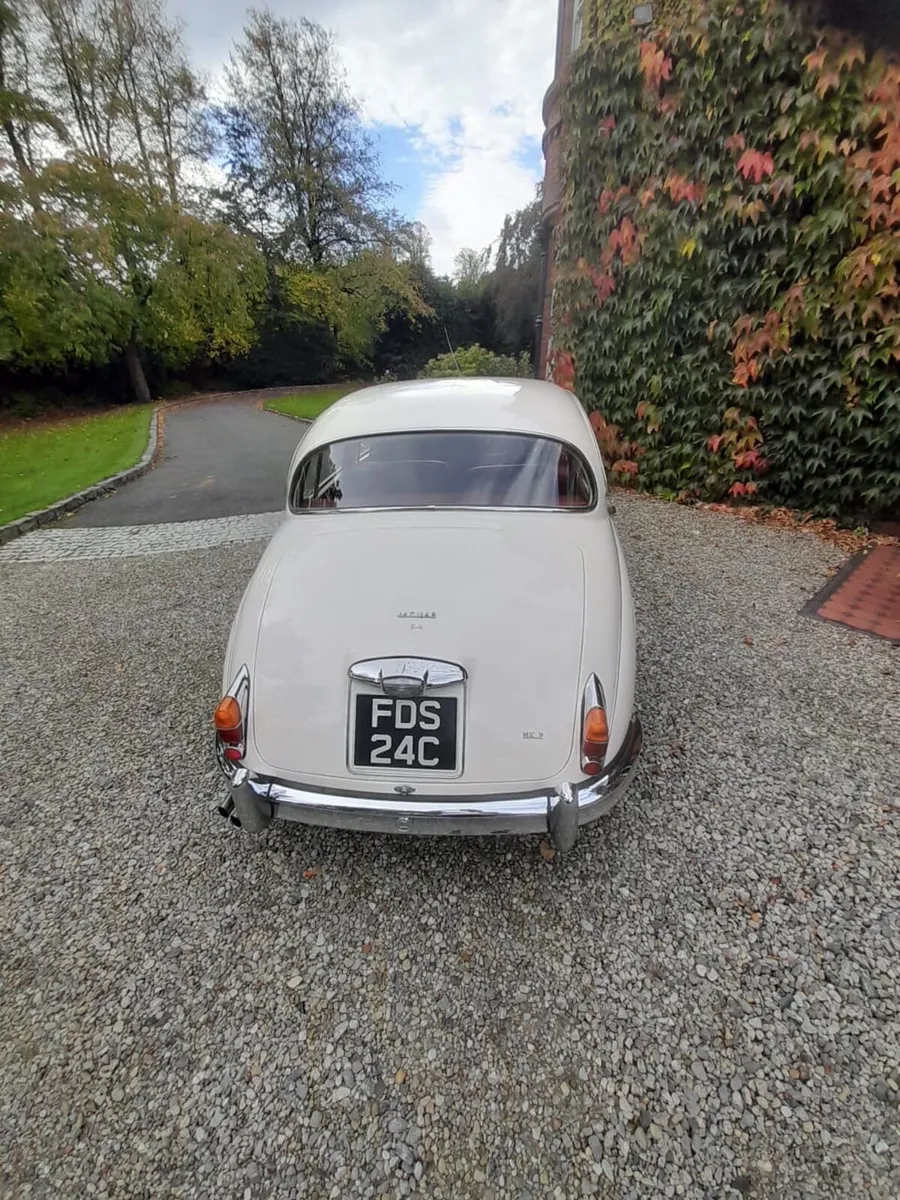Jaguar Other 1965 - Image 2