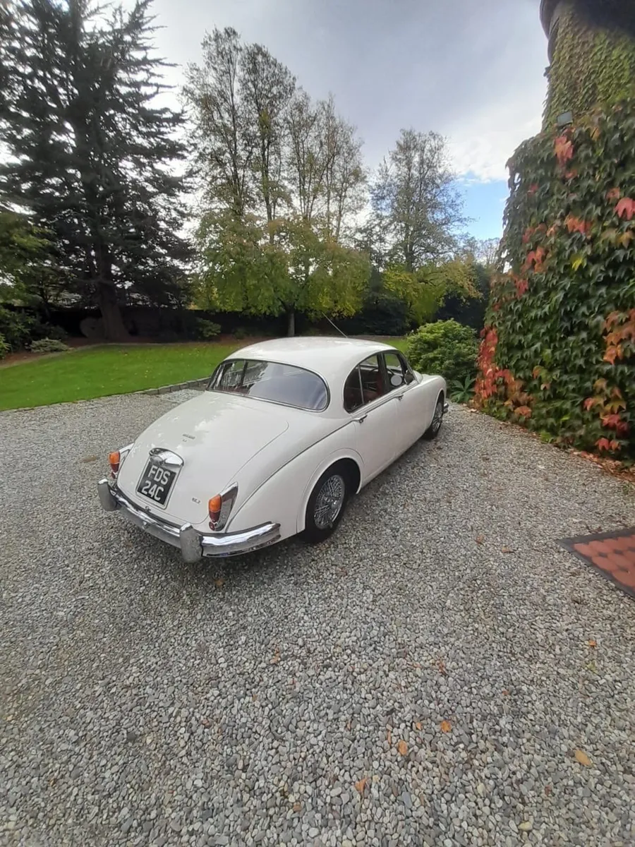 Jaguar Other 1965 - Image 3