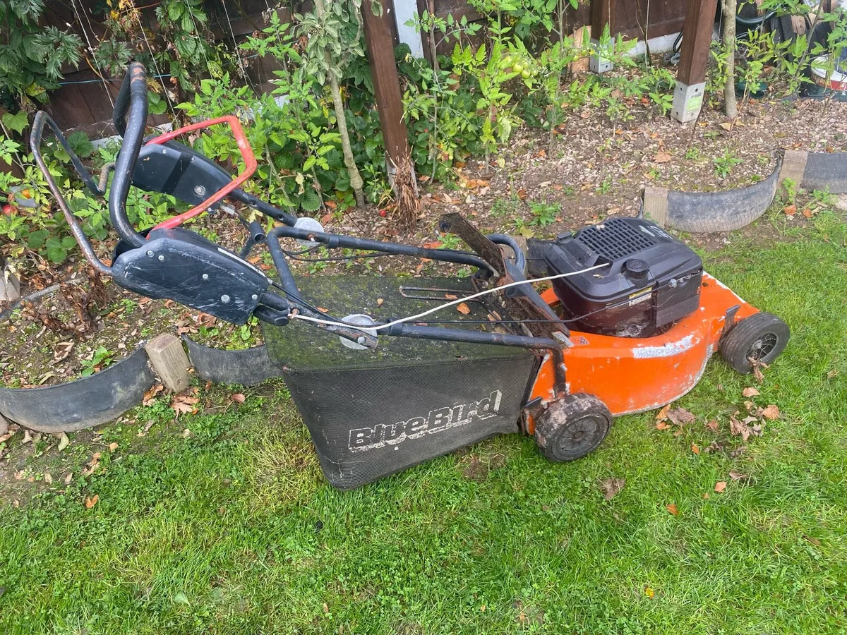 Lawnmower briggs&Stratos Quantum XTE 50 - Image 2