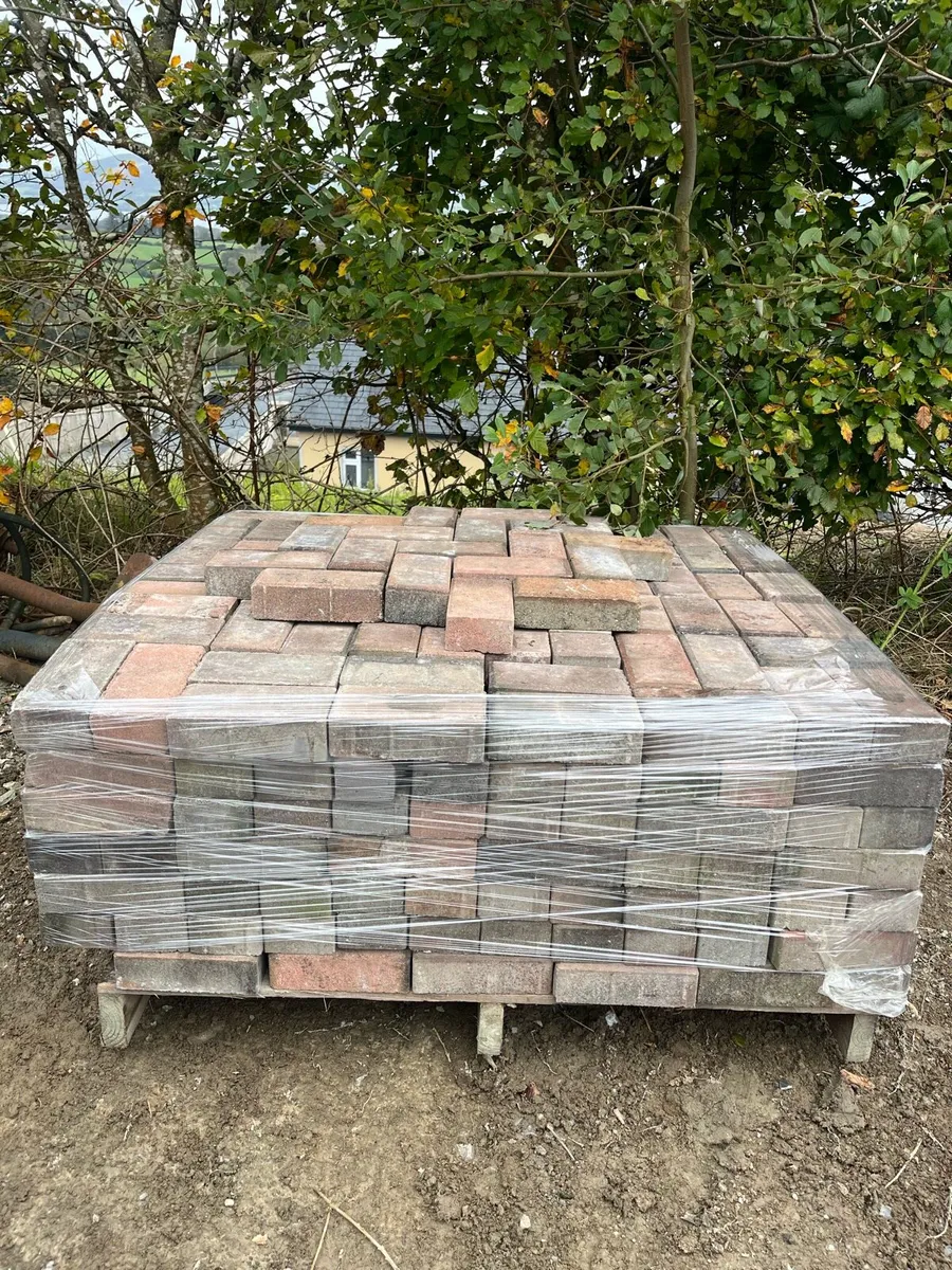 Paving bricks - Image 1