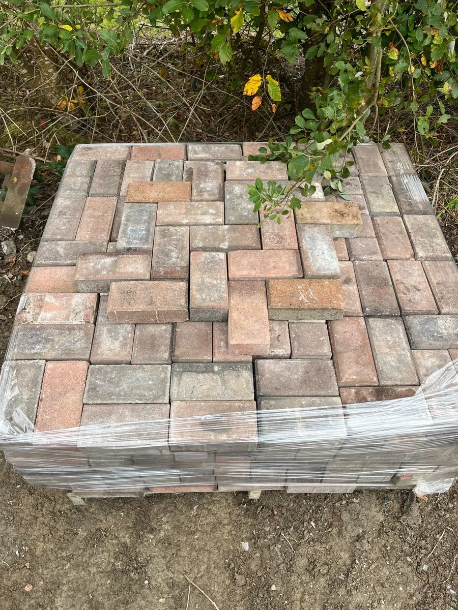 Paving bricks - Image 2
