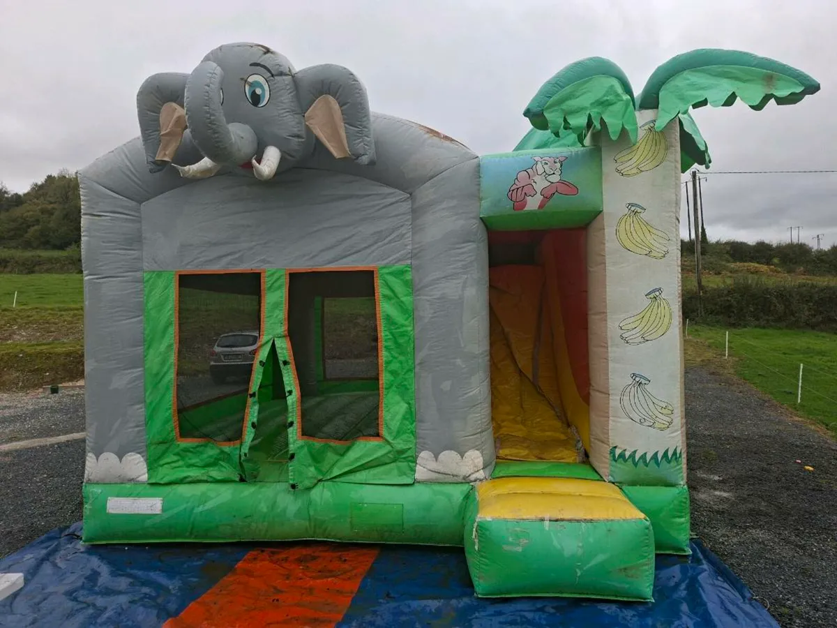 Bouncy castle - Image 4