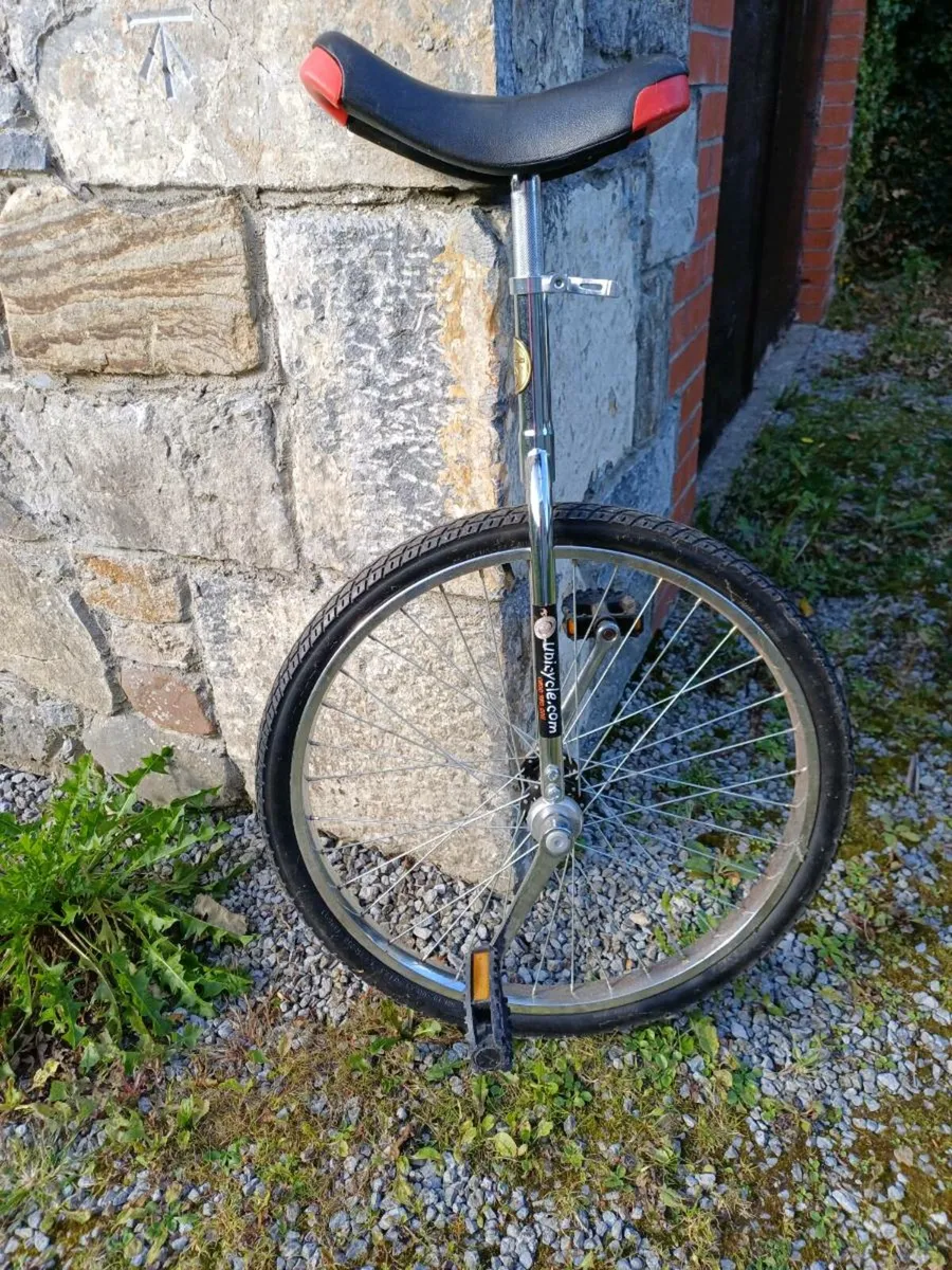 Unicycle - Image 1