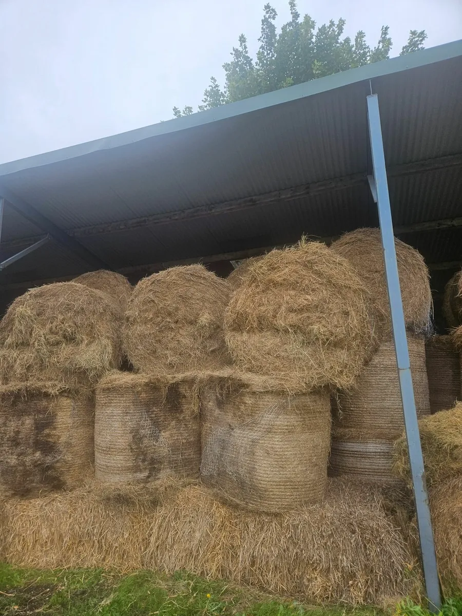 Hay bales - Image 1