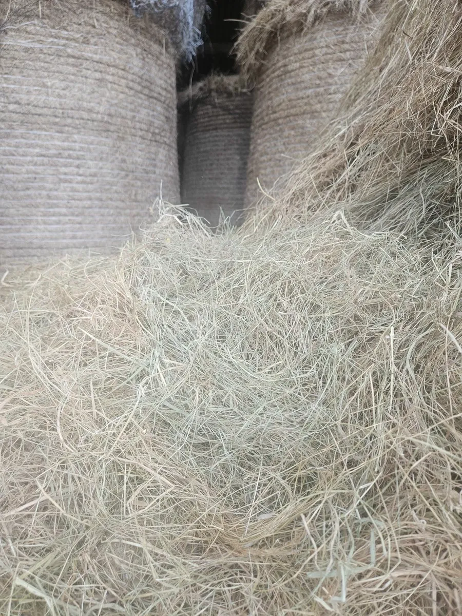 Hay bales - Image 2