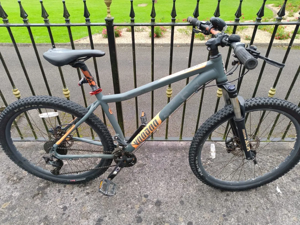 Voodoo Bantu Limited Edition Mountain Bike - Image 1
