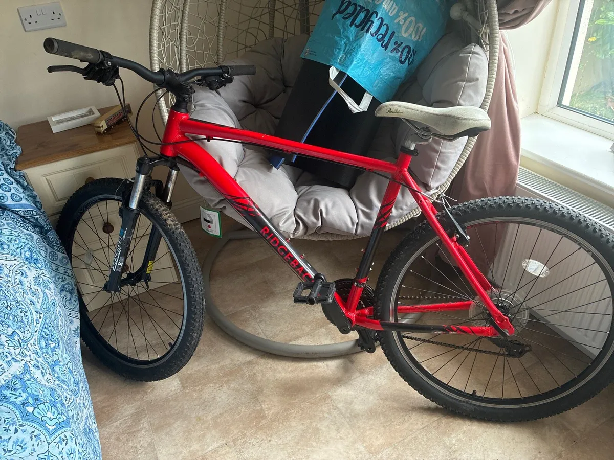 Ridgeback Mountain Bike - Image 1