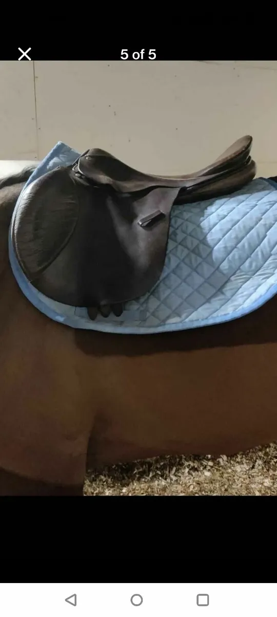 Berney's GP saddle - Image 3