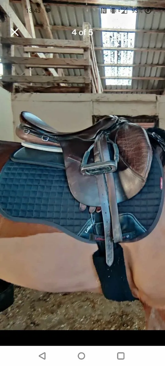 Berney's GP saddle - Image 1