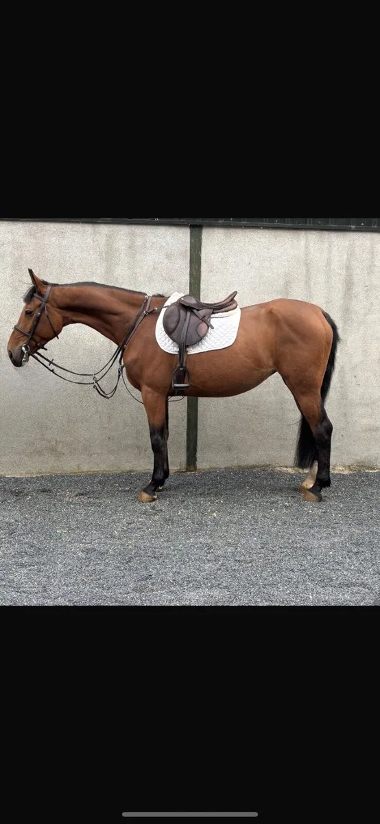 Ish Mare - Image 1
