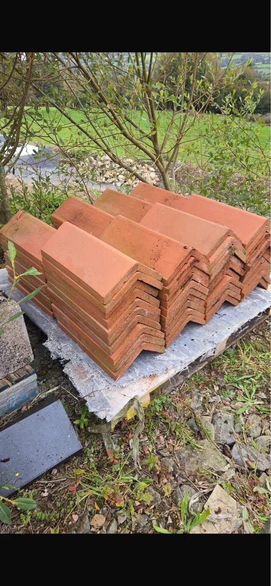 Terracotta ridge caps - Image 1