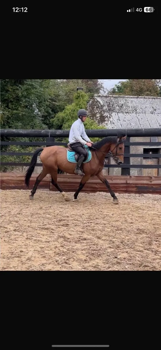 Ish Mare - Image 2