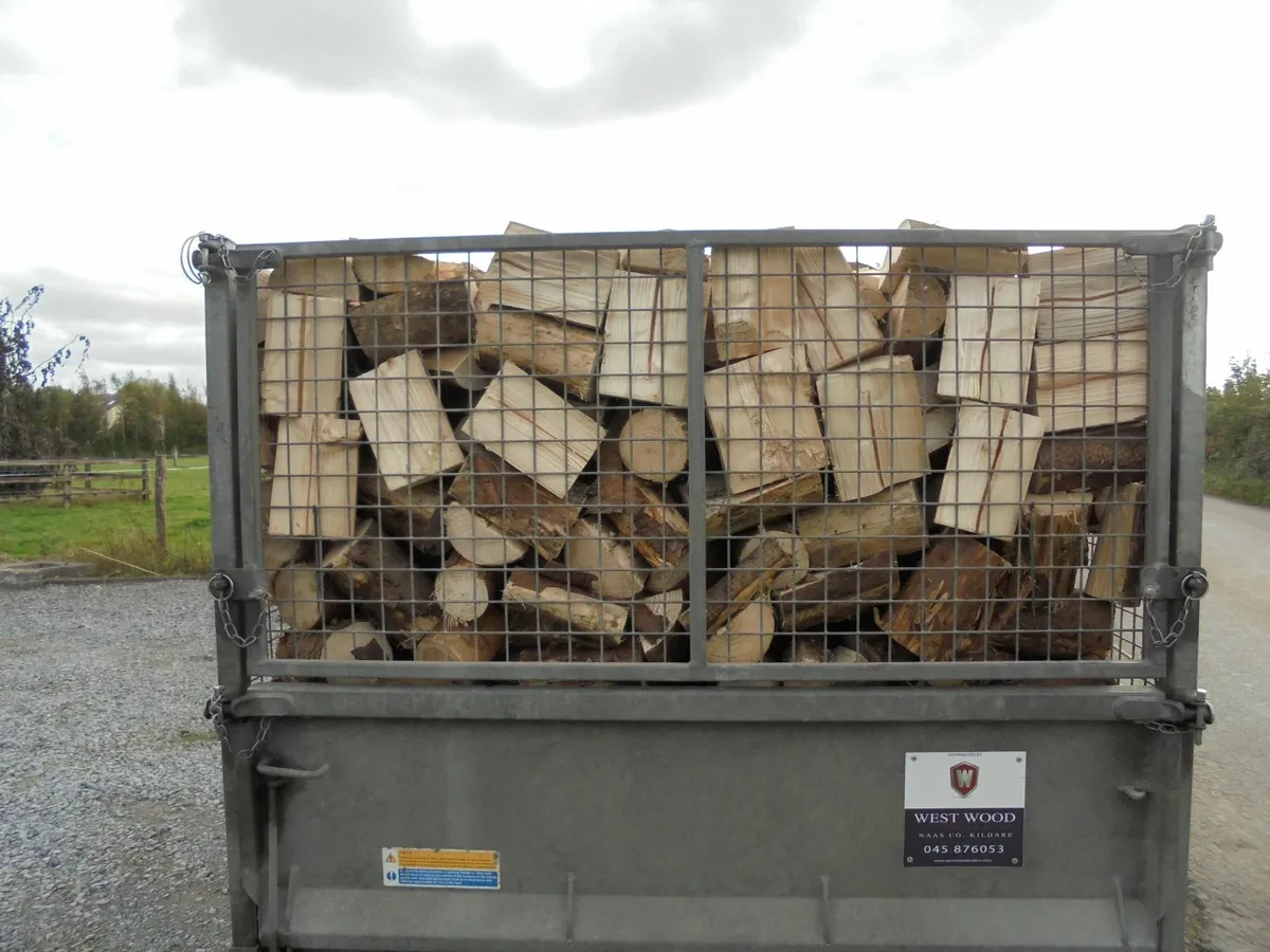 FIREWOOD. - Image 2