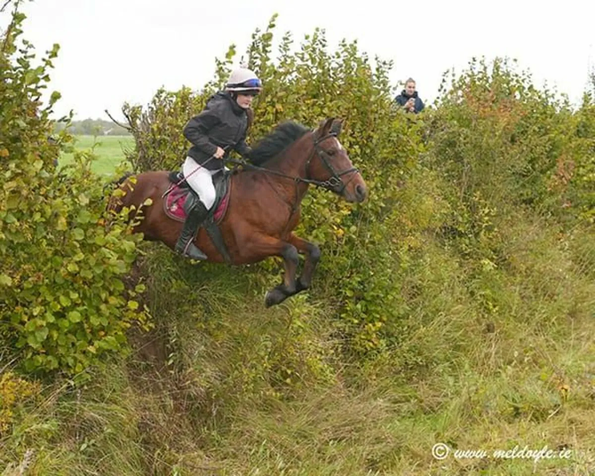 EXPERIENCE HUNTING PONY - Image 2