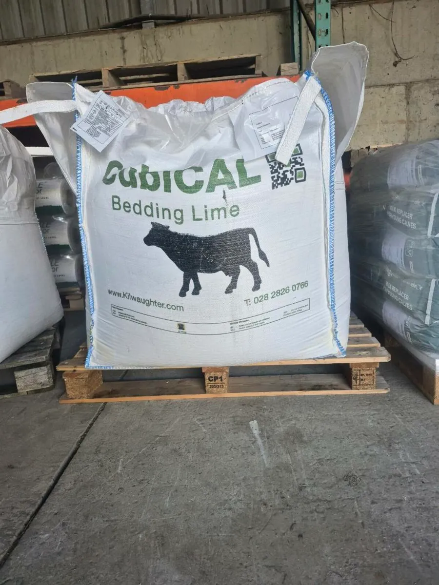 Cubicle lime - Image 1