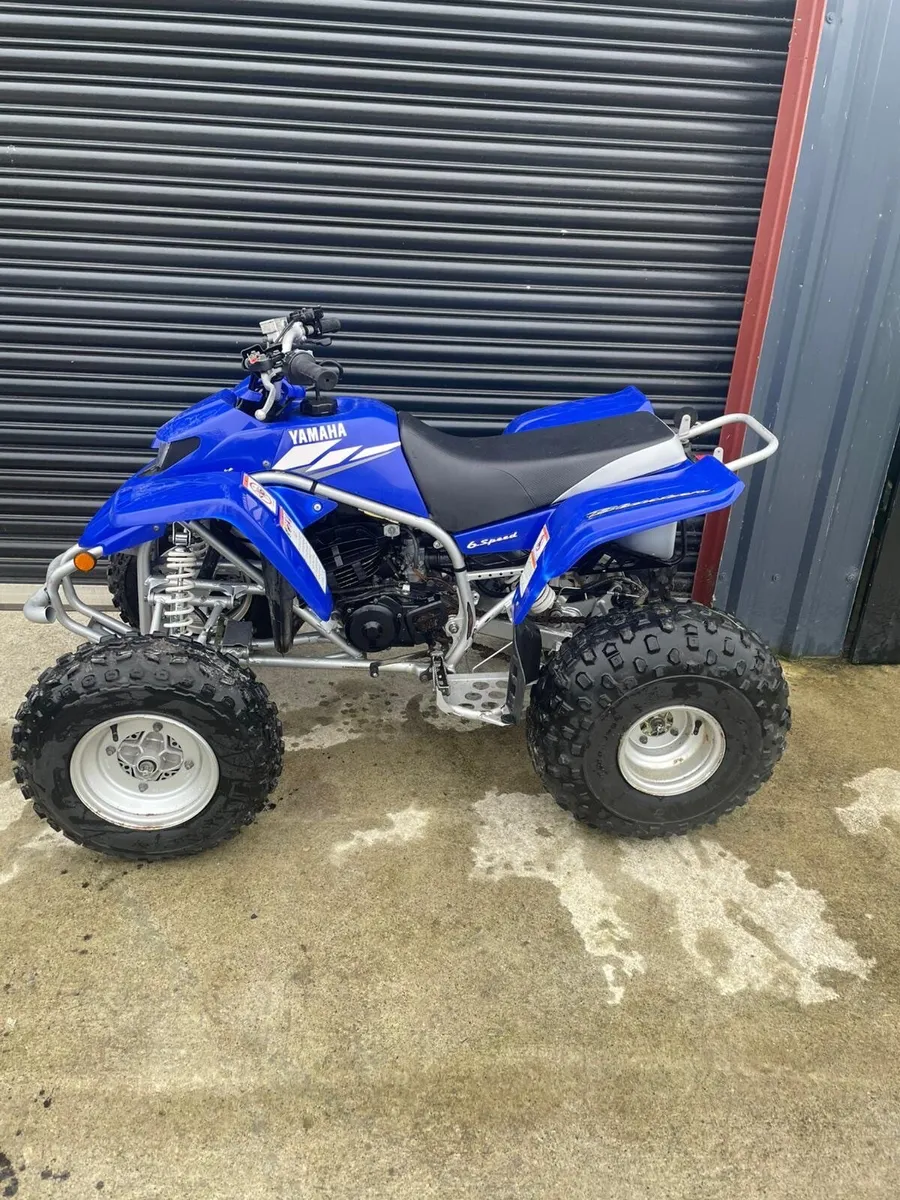 Yamaha Blaster 200 - Image 2