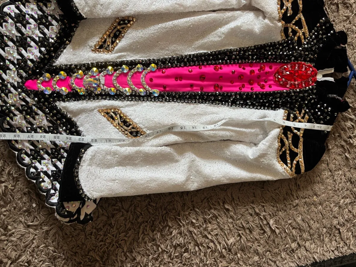 Irish dance dress - Image 3