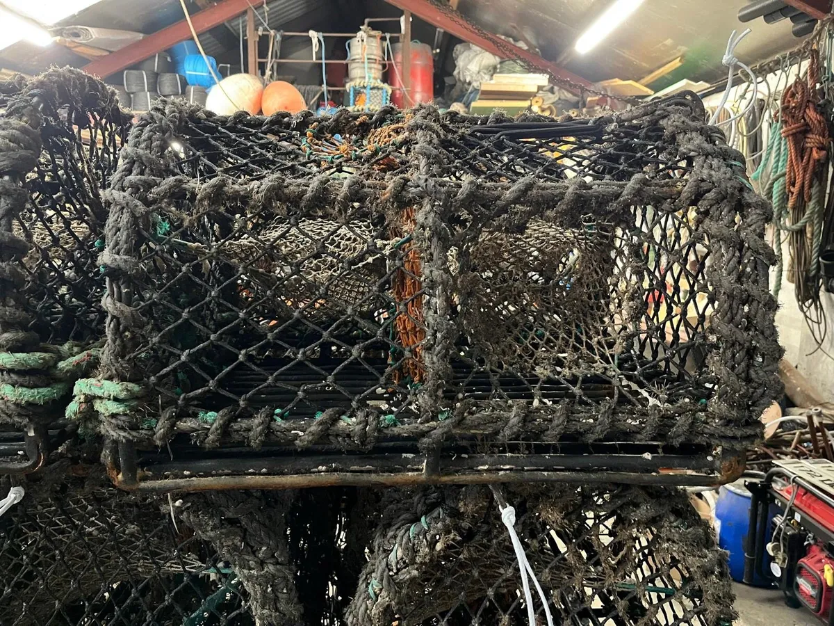 24” crab pot - Image 1