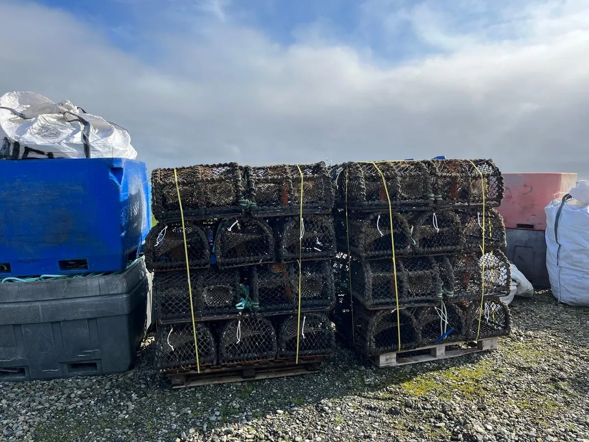 24” crab pot - Image 3