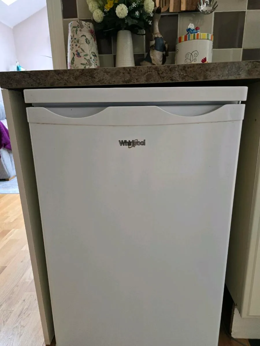 Fridge - Image 1
