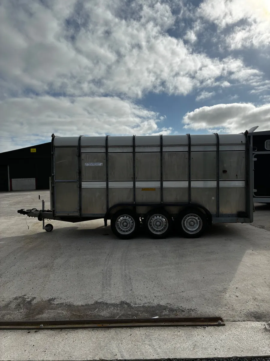 14ft ifor Williams livestock with decks - Image 2