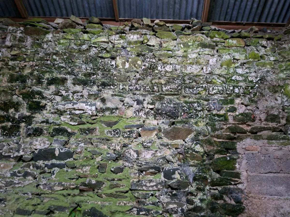 Stone - Image 1