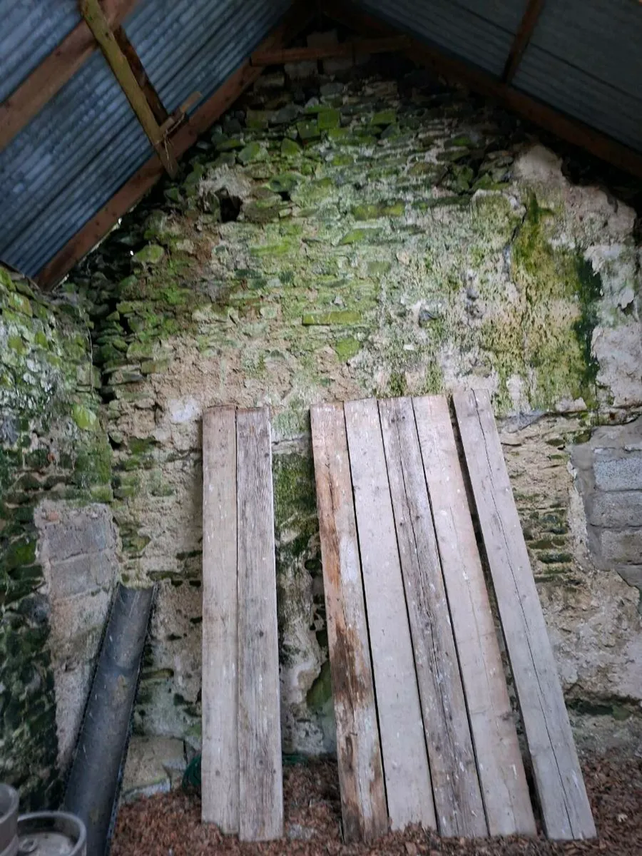 Stone - Image 4