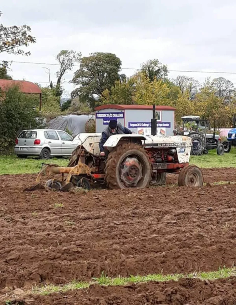 Raheen Vintage Ploughing / Working Day - 12th Oct - Image 3