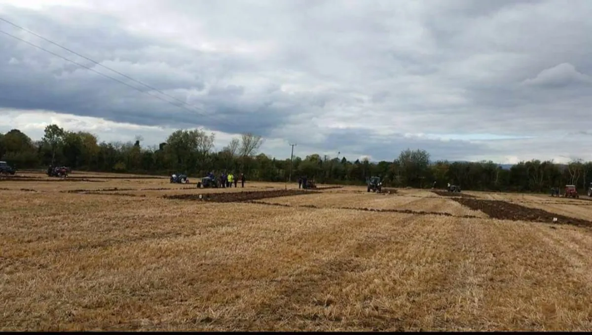 Raheen Vintage Ploughing / Working Day - 12th Oct - Image 4