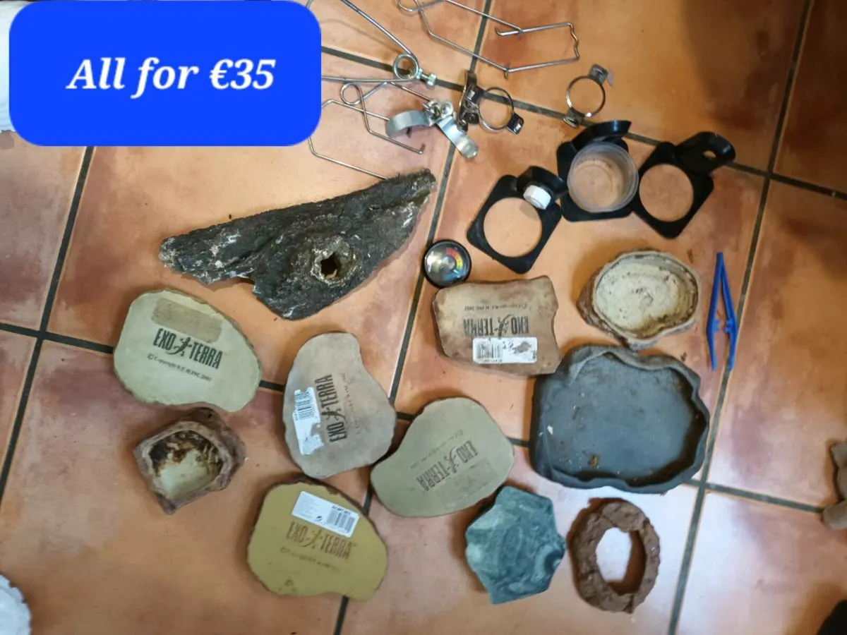 Reptile supplies - Image 2